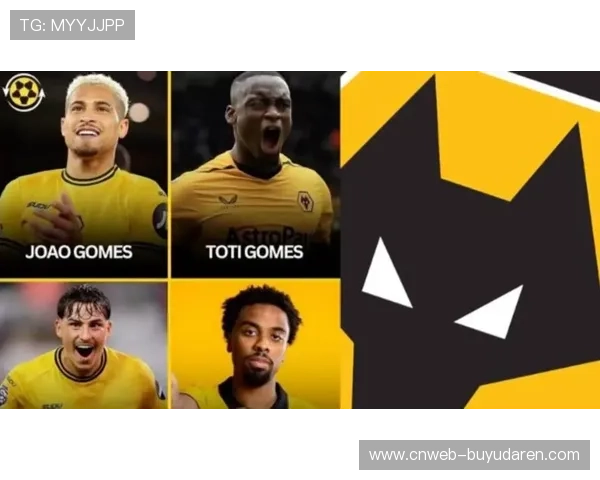 狼队租借马赛中场安赫尔·戈麦斯，协议含700万欧元买断选项